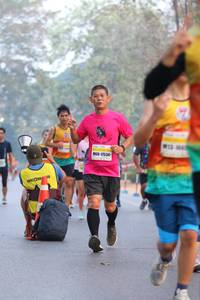 BIB: 17534
                            <button type="button" onclick="openModal(10411020)" class="btn btn-primary btn-sm float-right btn-popup" data-toggle="modal" data-target=".modal-high-quality">
                        <i class="fas fa-shopping-cart"></i> Add to Cart
                    </button>
                                            <button type="button" onclick="isThisMe(10411020, true)" class="btn btn-success btn-sm float-right btn-popup btn-isme hidden" data-toggle="tooltip" data-placement="bottom" title="นี่คือรูปของคุณใช่ไหม คลิกที่นี่เพื่อเอาเข้าอัลบั้ม">
                        <i class="fas fa-plus"></i> Add to album
                    </button>
                    <button type="button" onclick="isThisMe(10411020, false)" class="btn btn-warning btn-sm float-right btn-popup btn-isnotme hidden">
                        <i class="fas fa-ban"></i> Remove from album
                    </button>
